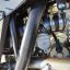 Regulmoto Athlete 250 19/16