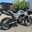 Regulmoto DUKE PRO
