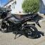Regulmoto Majesty