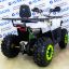 Avantis Hunter 200 New LUX