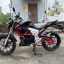 Regulmoto Raptor new 250