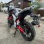 Regulmoto Raptor new 250